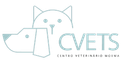Logo da TopBar
